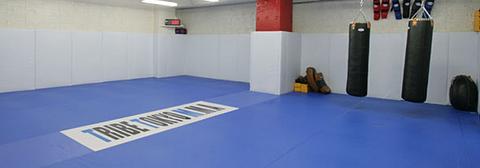 Tribe Tokyo MMA