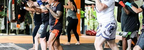 Tiger Muay Thai