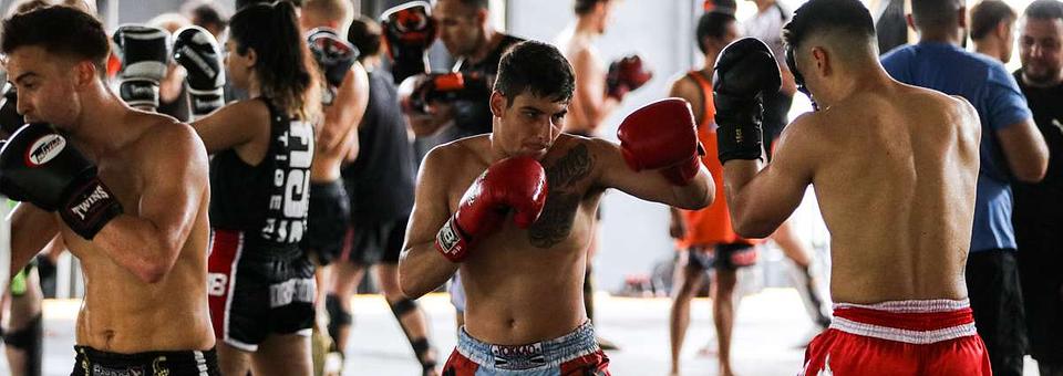 Tiger Muay Thai