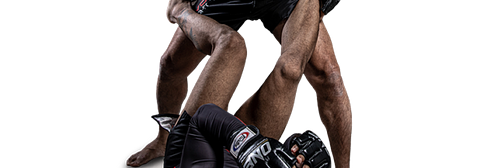 Evolve MMA
